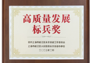 上海龍勝榮獲2022年度高質(zhì)量發(fā)展標兵獎